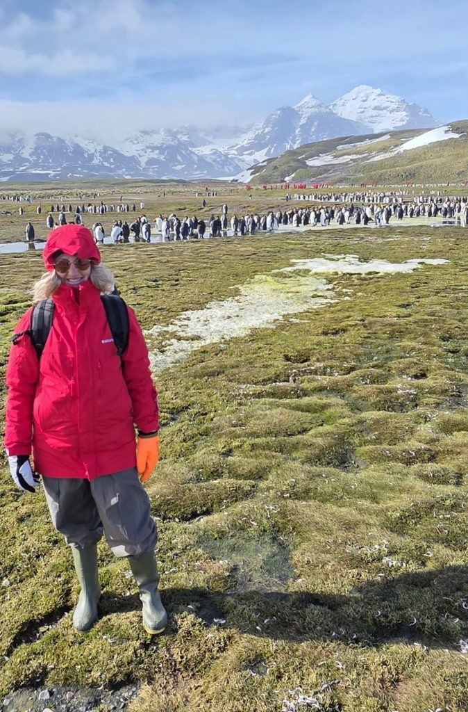 South Georgia Islands